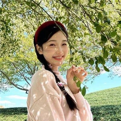 丹美的电影宇宙